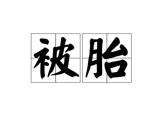 被胎(紡織物) 被胎(紡織物)
