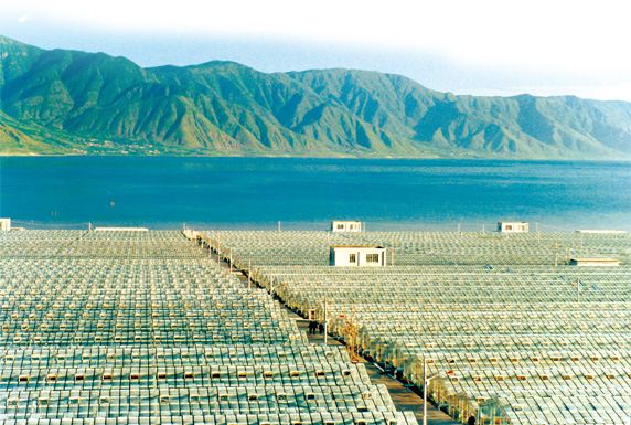 綠A基地 綠A基地