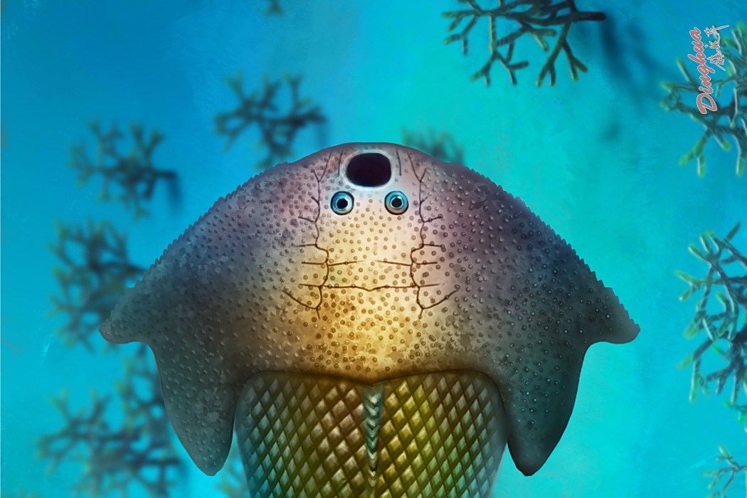 湖南大庸魚 湖南大庸魚