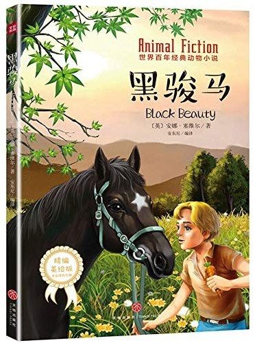 黑駿馬(2019年天地出版社出版的圖書) 黑駿馬(2019年天地出版社出版的圖書)