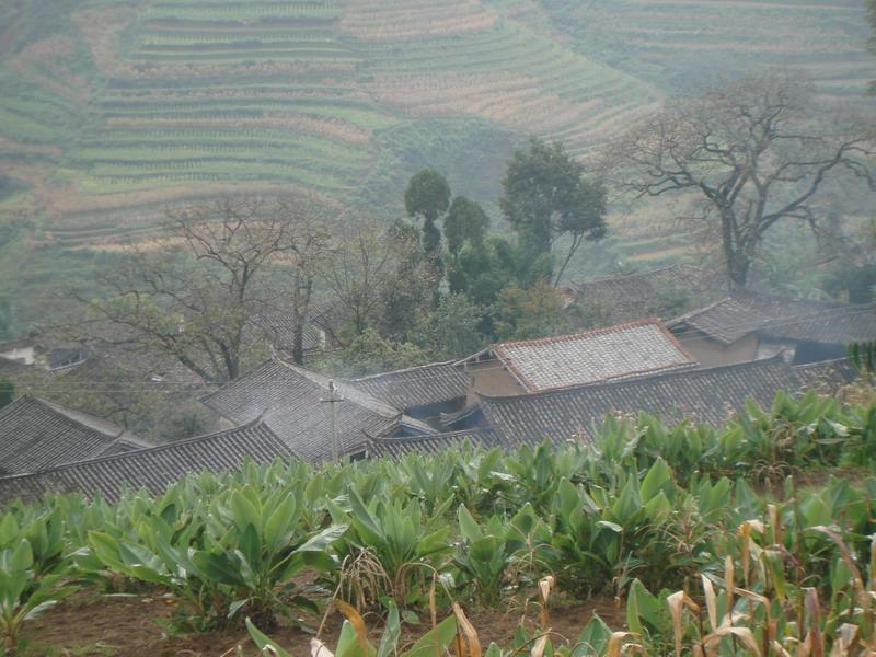 次武地上村 次武地上村