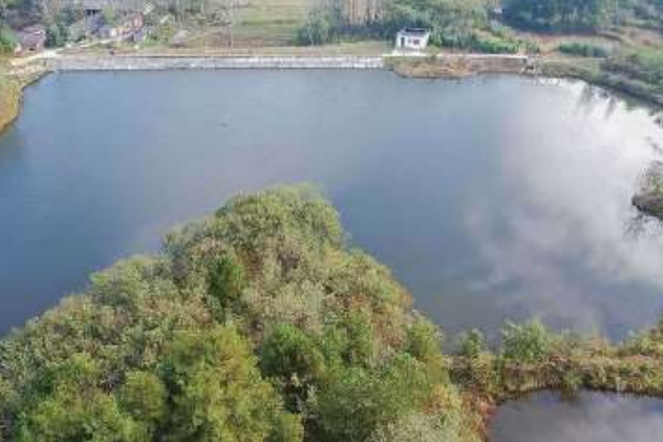 楊沖水庫(淮河支流九龍河支溝上的小(2)型水庫) 楊沖水庫(淮河支流九龍河支溝上的小(2)型水庫)