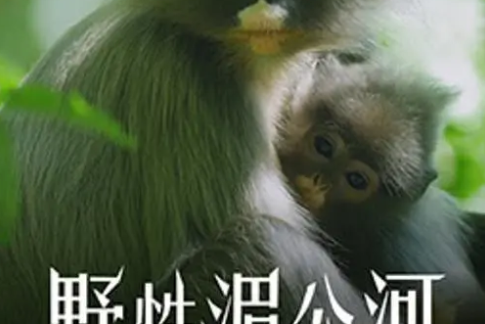 野性湄公河 野性湄公河