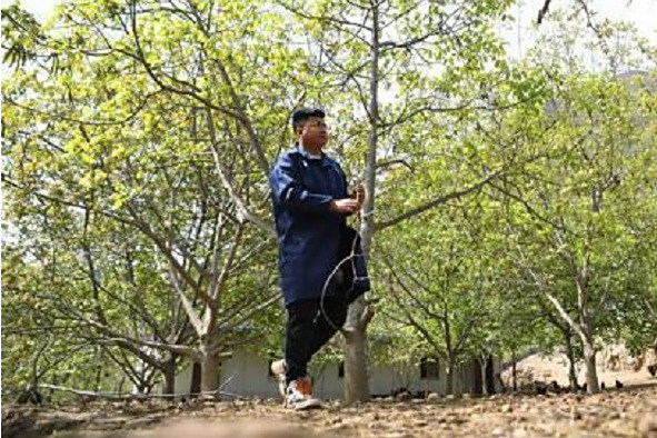 王磊磊(舟曲縣曲瓦鄉城馬村合作社負責人) 王磊磊(舟曲縣曲瓦鄉城馬村合作社負責人)