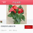 中國花卉
