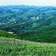 黃崗峰 黃崗峰