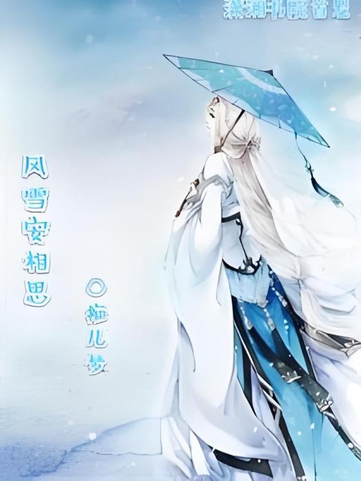 風雪安相思 風雪安相思