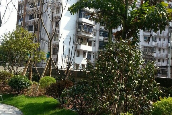 欣光松宿 欣光松宿