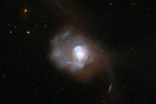 馬卡良231