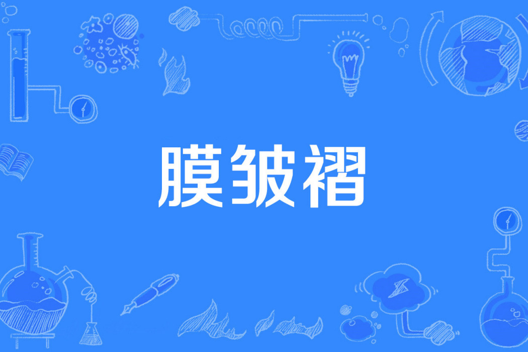 膜皺褶