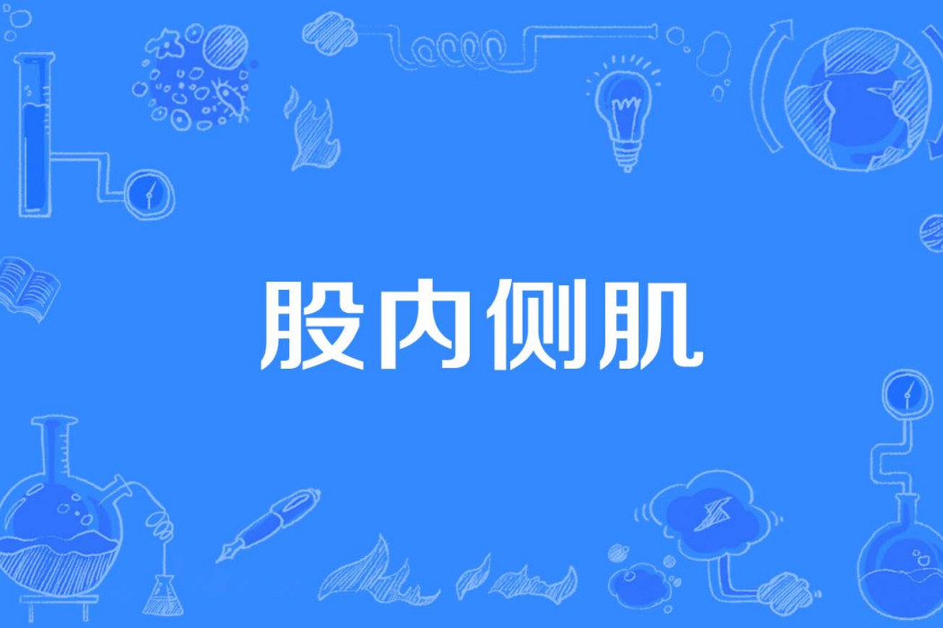 股內側肌 股內側肌
