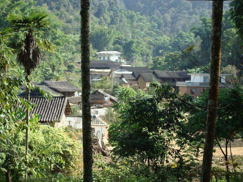 蝦螞村 蝦螞村