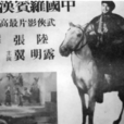 中國羅賓漢