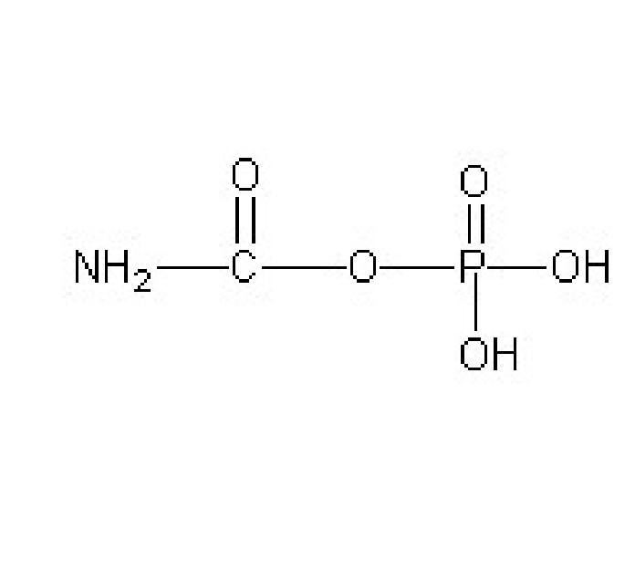 氨甲醯磷酸
