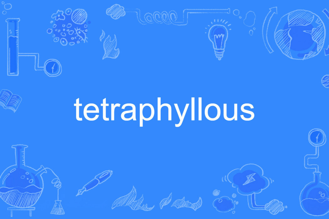 tetraphyllous tetraphyllous