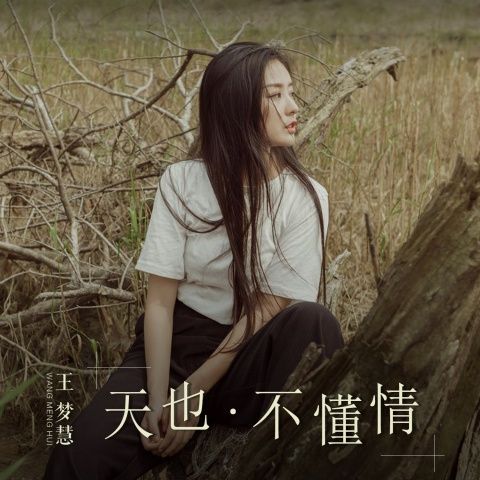 天也不懂情(王夢慧演唱歌曲) 天也不懂情(王夢慧演唱歌曲)