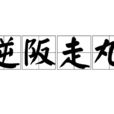 逆阪走丸