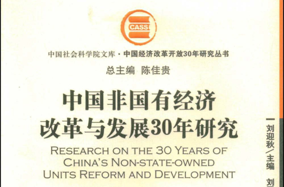 中國非國有經濟改革與發展30年研究