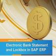Electronic Bank Statement & Lockbox in Sap Erp Electronic Bank Statement & Lockbox in Sap Erp