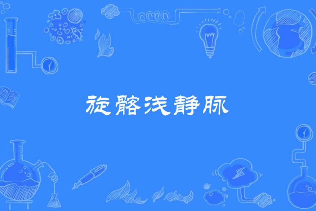旋髂淺靜脈 旋髂淺靜脈