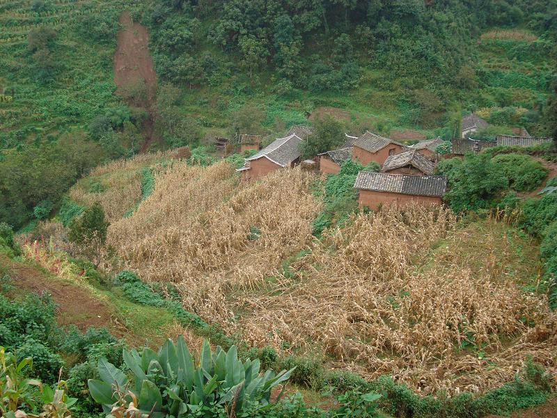 寨子山村(雲南省楚雄市元謀縣羊街鎮寨子山村)