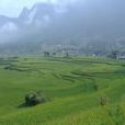 龍鳳鄉(四川旺蒼縣龍鳳鄉) 龍鳳鄉(四川旺蒼縣龍鳳鄉)