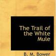 The Trail of the White Mule The Trail of the White Mule