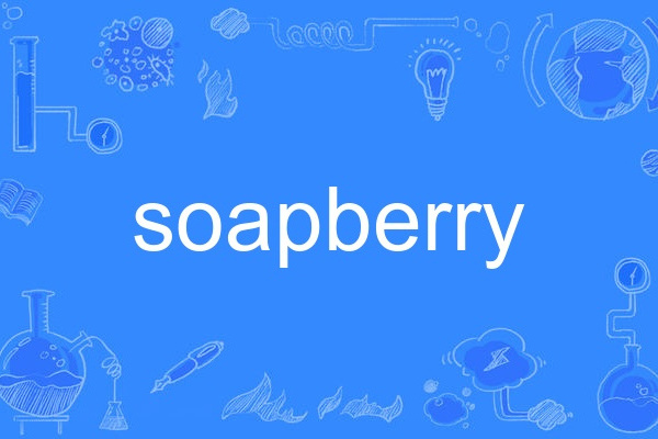 soapberry soapberry