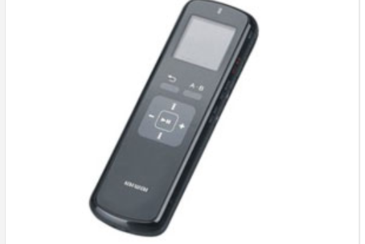 愛華D110(2GB) 愛華D110(2GB)