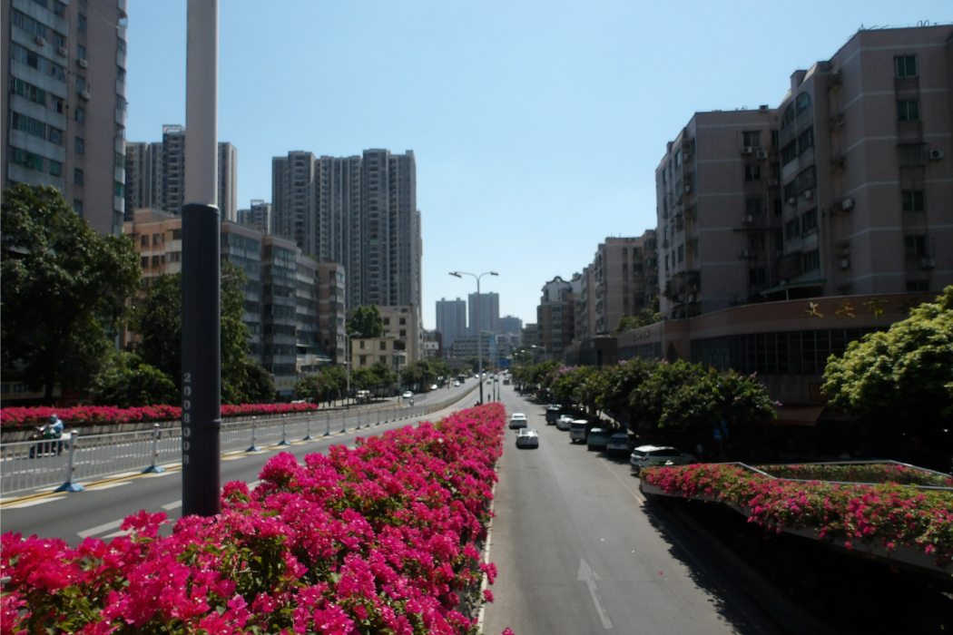 市東上路