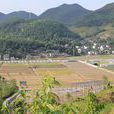 黃龍村(浙江省麗水市五雲鎮黃龍村) 黃龍村(浙江省麗水市五雲鎮黃龍村)