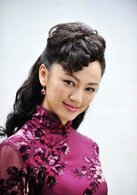 借槍(2011年張嘉譯主演電視劇)