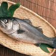 海鱸魚 海鱸魚