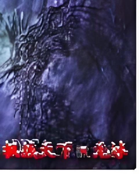 楓戰天下 楓戰天下