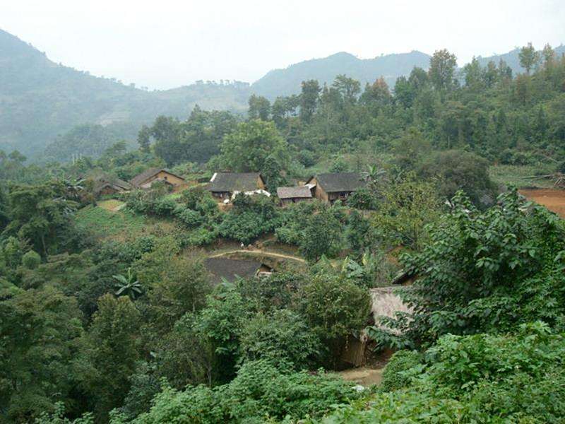 褚皮村