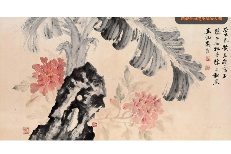 蕉石牡丹 蕉石牡丹