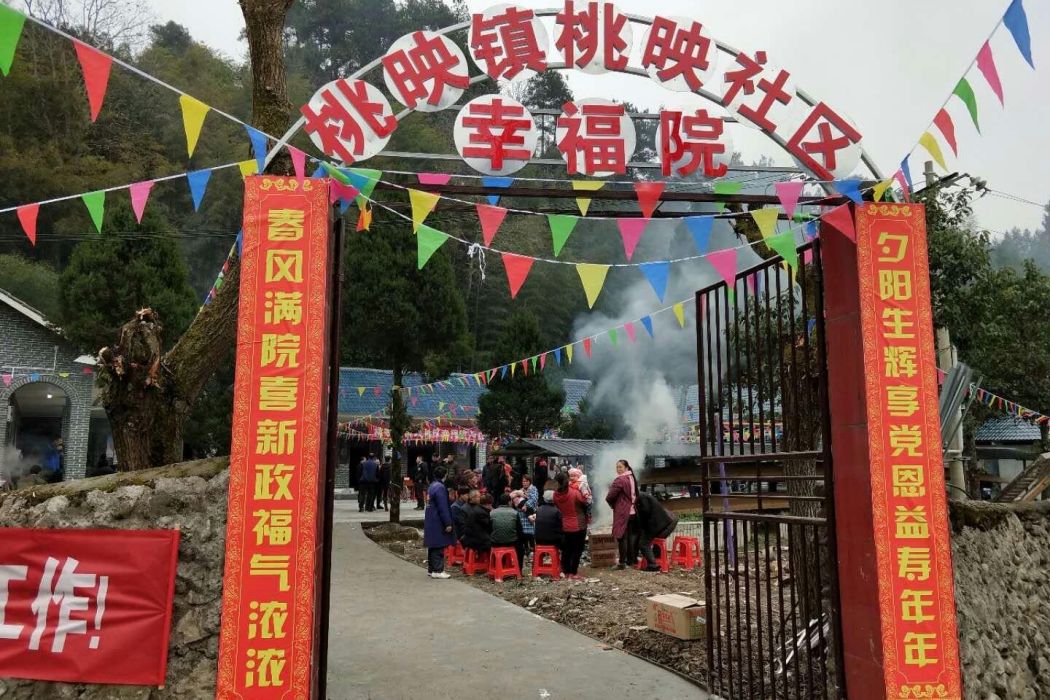 桃映社區 桃映社區