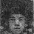燕鴻甲 燕鴻甲