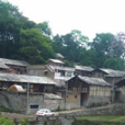 擺牛村 擺牛村