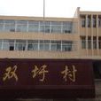 雙圩村(浙江杭州市蕭山區新街鎮下轄村) 雙圩村(浙江杭州市蕭山區新街鎮下轄村)