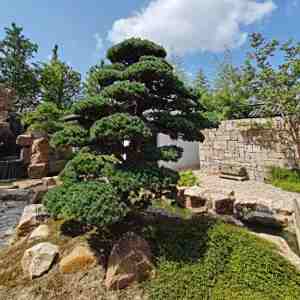 松茗園 松茗園