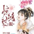 驚鴻過眼 驚鴻過眼
