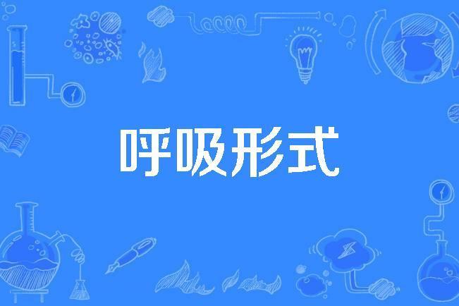 呼吸形式 呼吸形式
