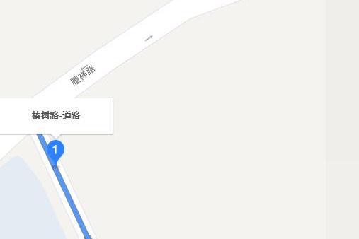 椿樹路 椿樹路