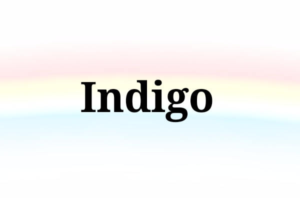 Indigo(英文單詞)