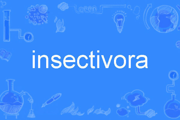 insectivora insectivora
