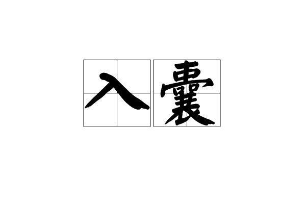 入囊 入囊