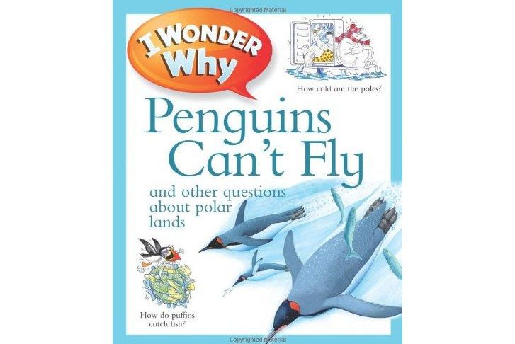 I Wonder Why Penguins Can\x27t Fly I Wonder Why Penguins Can\x27t Fly