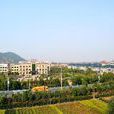 岩峰村(福建省泉州市惠安縣塗寨鎮下轄村) 岩峰村(福建省泉州市惠安縣塗寨鎮下轄村)