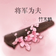 將軍為夫 將軍為夫